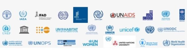 United Nation Studies Course